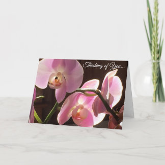 Orquídea Rosa Pensando en Ti Tarjeta en Blanco por