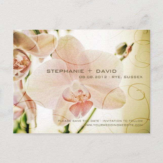 Orquídea Rosa • Tarjeta Postal de Save the Date (Anverso)