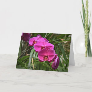 Orquídea, tarjeta