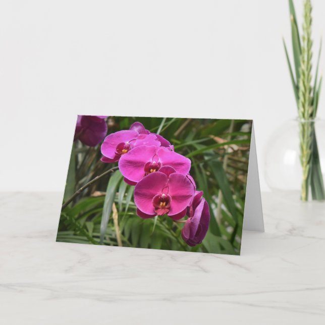 Orquídea, tarjeta (Anverso)