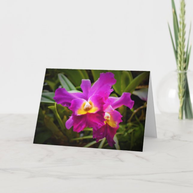 Orquídea, tarjeta (Anverso)