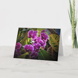 Orquídea, tarjeta