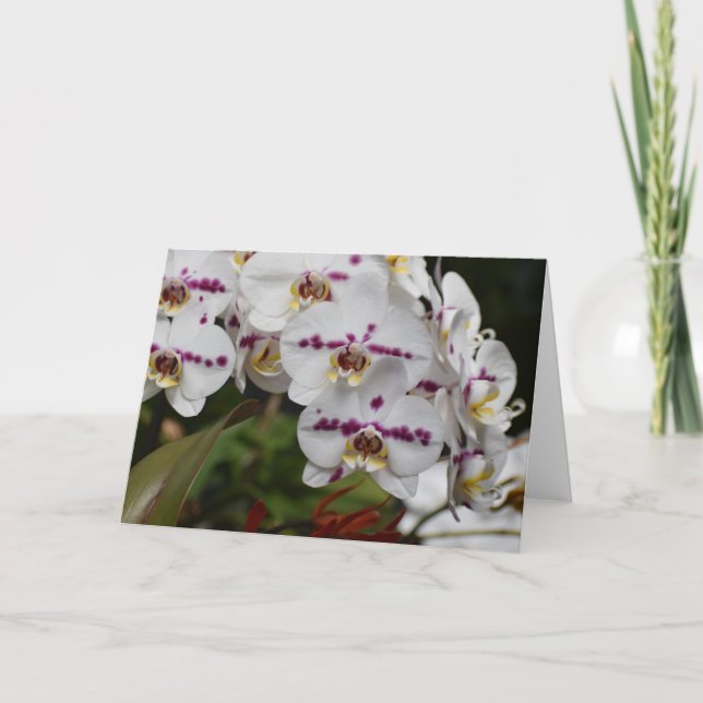 Orquídea, tarjeta (Anverso)