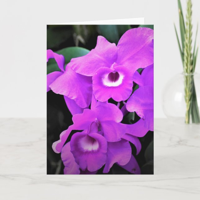 Orquídea, tarjeta (Anverso)