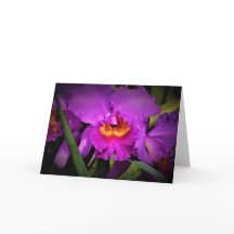 Orquídea, tarjeta