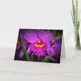 Orquídea, tarjeta