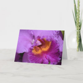 Orquídea, tarjeta