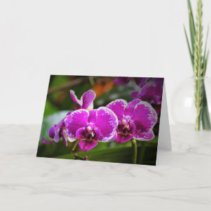 Orquídea, tarjeta