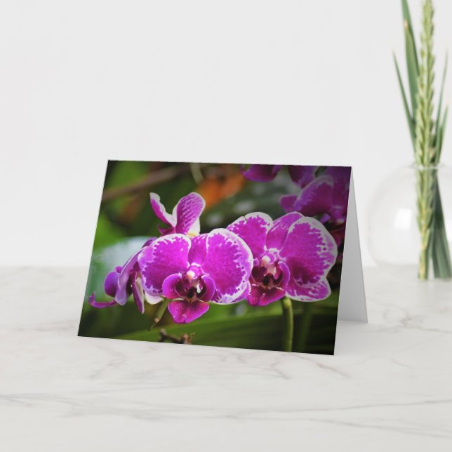Orquídea, tarjeta (Anverso)