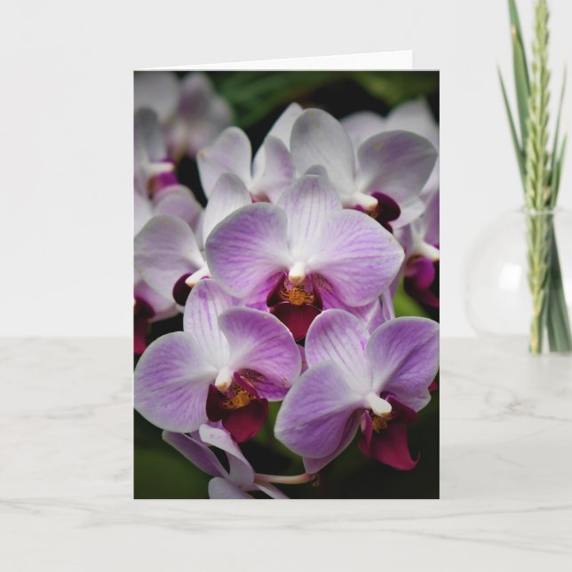 Orquídea, tarjeta (Anverso)