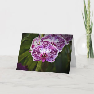 Orquídea, tarjeta