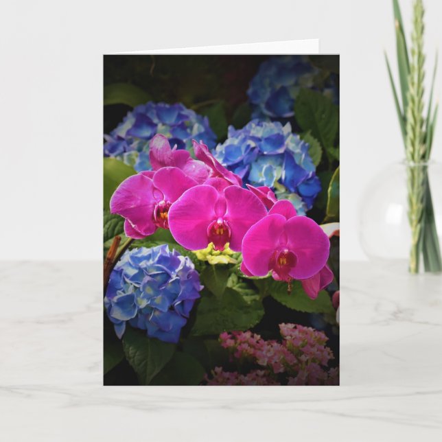 Orquídea, tarjeta (Anverso)