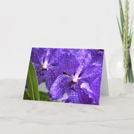 Orquídea, tarjeta