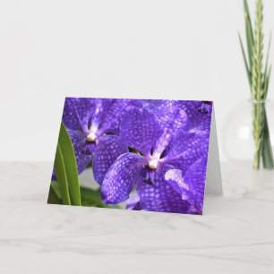 Orquídea, tarjeta