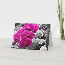 Orquídea, tarjeta