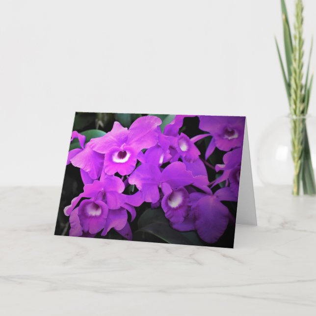 Orquídea, tarjeta (Anverso)