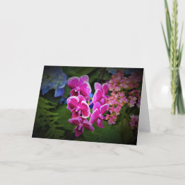 Orquídea, tarjeta