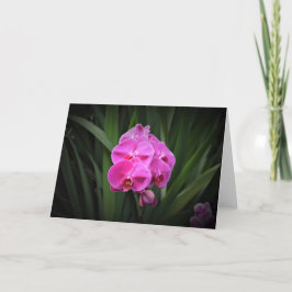 Orquídea, tarjeta