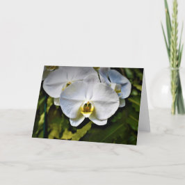 Orquídea, tarjeta