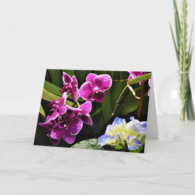 Orquídea, tarjeta (Anverso)