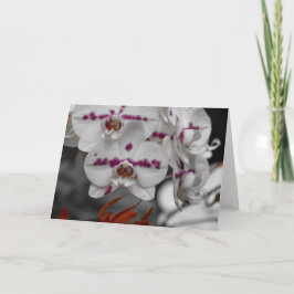 Orquídea, tarjeta