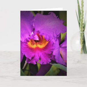 Orquídea, tarjeta