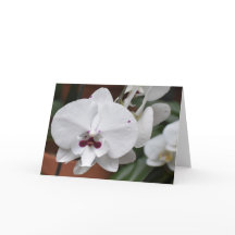 Orquídea, tarjeta