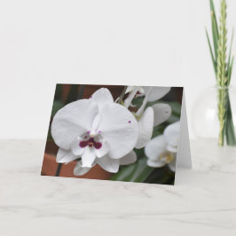 Orquídea, tarjeta