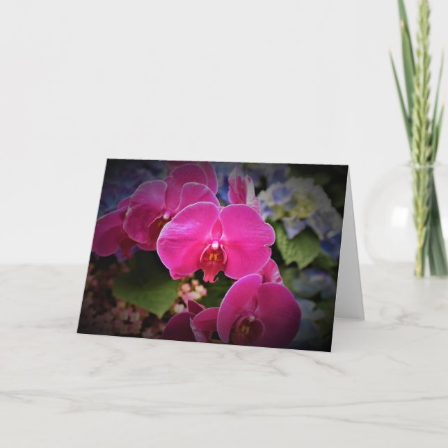 Orquídea, tarjeta (Anverso)