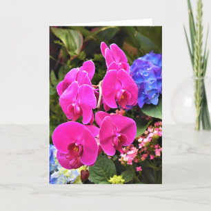 Orquídea, tarjeta