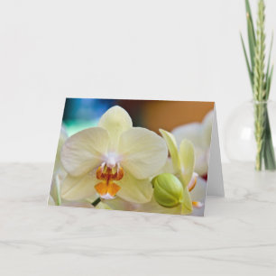 Orquídea • Tarjeta de felicitación