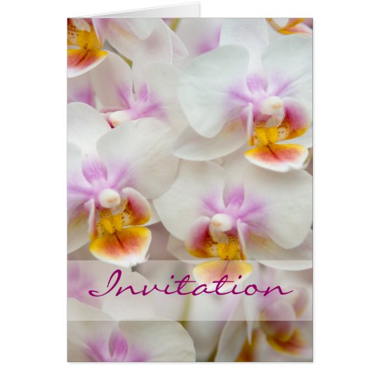 Orquídea • Tarjeta de la invitación del boda