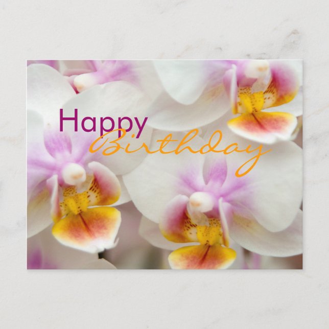 Orquídea ・ Tarjeta postal de cumpleaños (Anverso)