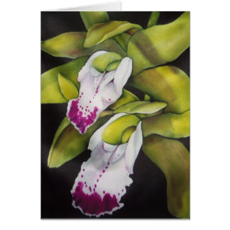 Orquídea Verde Cymbidium