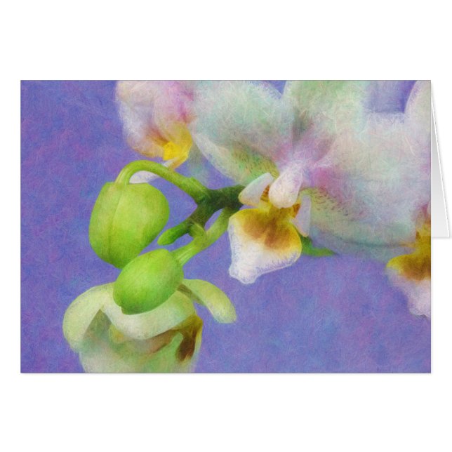 Orquídeas (Anverso (Horizontal))