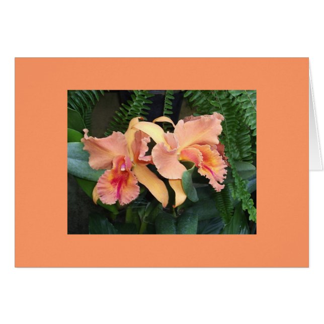 Orquídeas (Anverso (Horizontal))