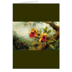 Orquídeas amarillas