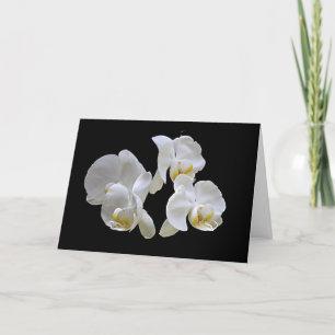 Orquídeas blancas en negro - tarjeta elegante