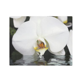 Orquídeas blancas que emergen del arte mural Metal