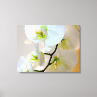 Orquídeas Blancas Tropicales Número Dos Lienzo Env