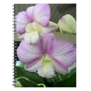 Orquídeas blancas y lilas claras en una libreta pr