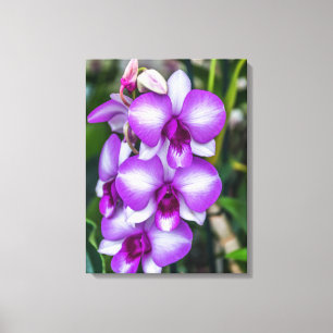 Orquídeas blancas y violetas vistas impresión de l