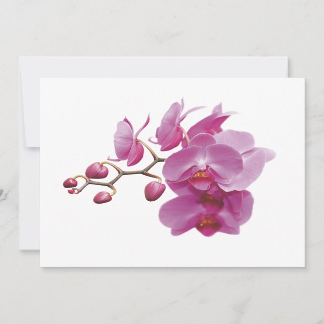 Orquídeas Bodas baratas Juegos de paquetes (Anverso)