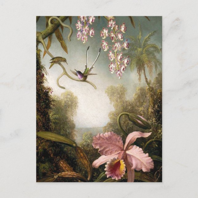 Orquídeas con tarjeta postal Hummingbird (Anverso)