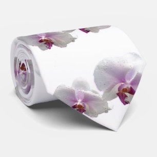 Orquídeas corbata masculina