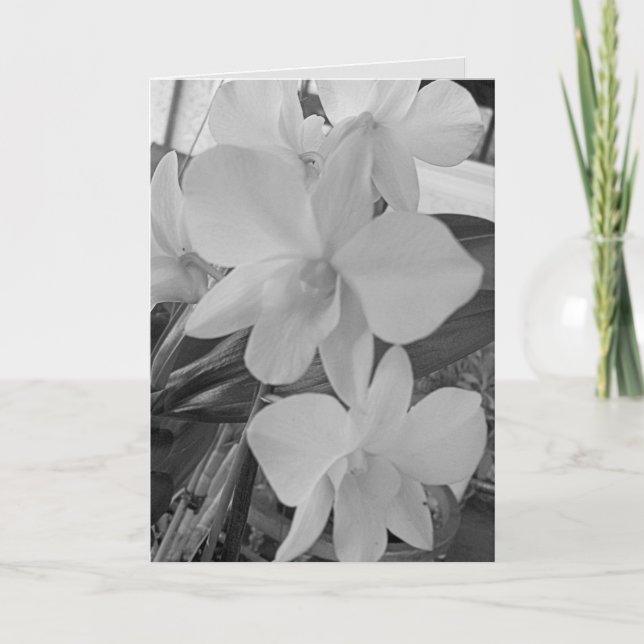 Orquídeas de escala de grises en una tarjeta de si (Anverso)