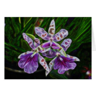 Orquídeas de Longwood