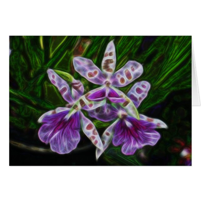 Orquídeas de Longwood (Anverso (Horizontal))