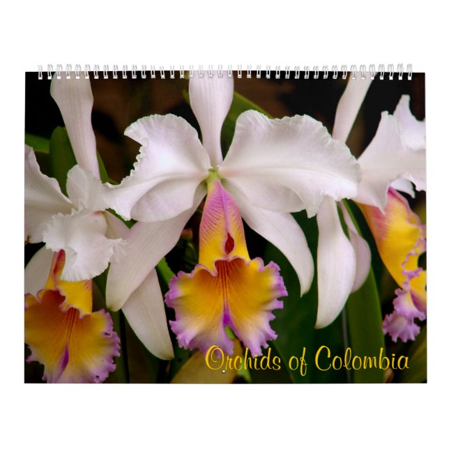 Orquídeas del calendario 2013 de Colombia (Tapa)