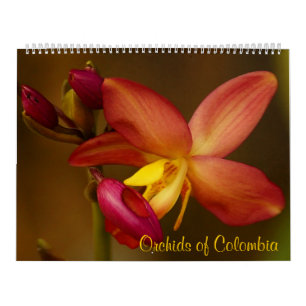 Orquídeas del calendario 2014 de Colombia